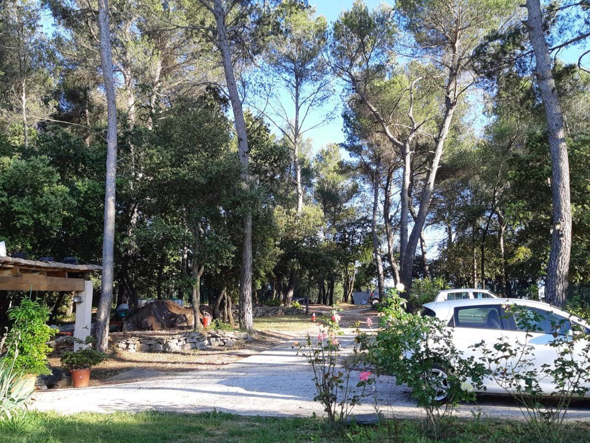 Chambres D'Hotes- Piscine, Spa, Tennis Belcodene Esterno foto